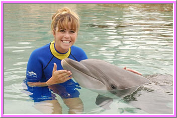paula creamer dolphin